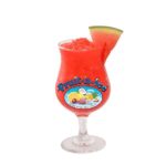 0000274_fruit-n-ice-blender-mix-watermelon-31-bottle