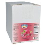 Fruit-N-Ice Blender Mix Raspberry 6 Pack Case