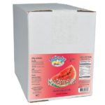 Fruit-N-Ice Blender Mix Watermelon 6 Pack Case