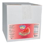 Fruit-N-Ice Granita Frozen Drink Mix Watermelon 4:1 Case