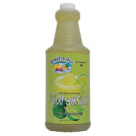 Fruit-N-Ice Blender Mix Margarita 3:1 Bottle